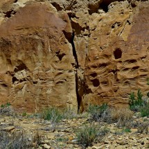 Incisions on the Petroglyph trail